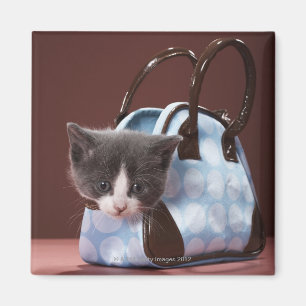 Imán Gatito en bolso