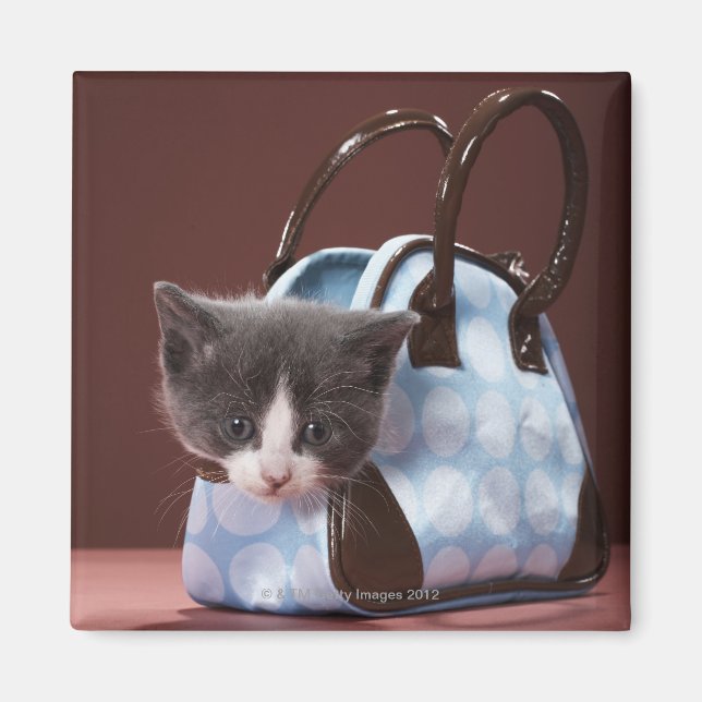 Imán Gatito en bolso (Frente)