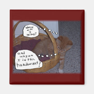 Imán Gatito en un Handbasket