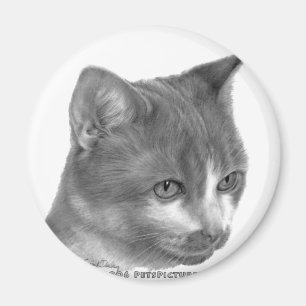 Imán Gatito, gato de Tabby