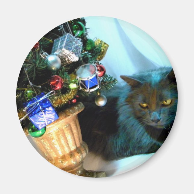 Imán Gatito gris del navidad V (Frente)