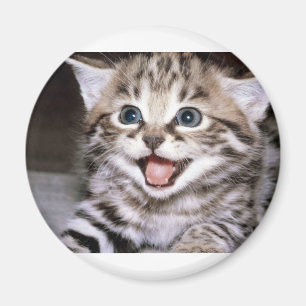 Imán Gatito lindo