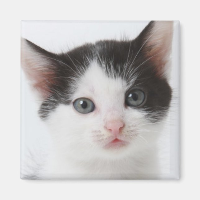 Imán Gatito negro (Frente)