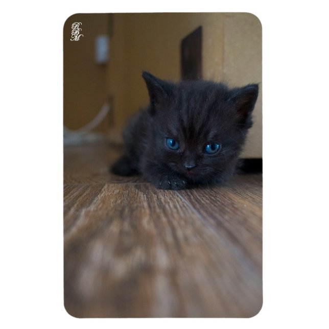 Imán Gatito negro (Vertical)