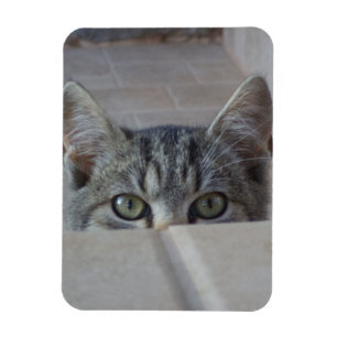 Imán Gatito Peek-a-boo