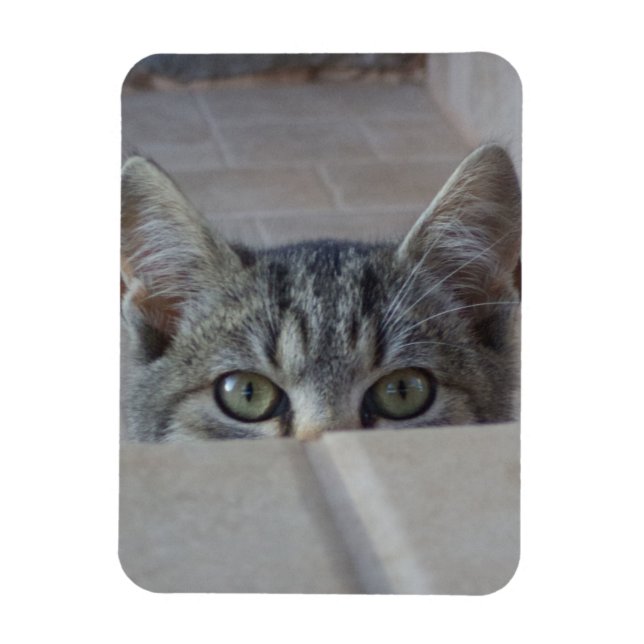Imán Gatito Peek-a-boo (Vertical)