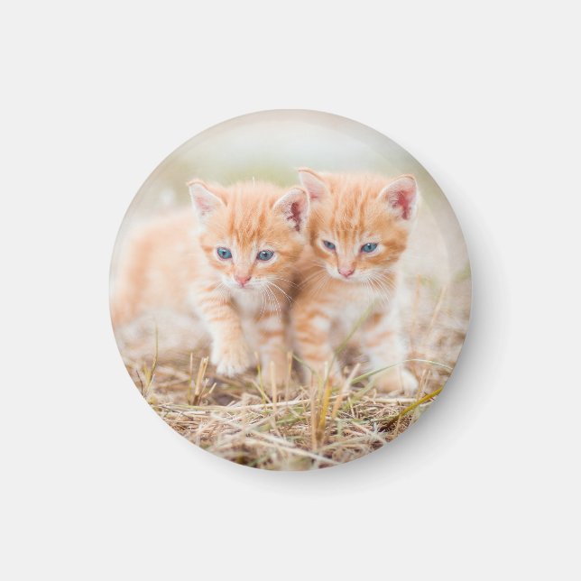 Imán Gatito, Rojo, Dos (Frente)
