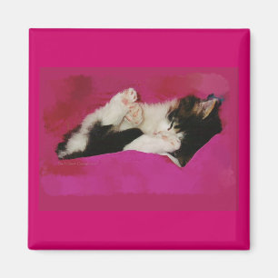 Imán Gatito soñoliento en rosa