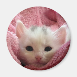 Imán Gatito suave