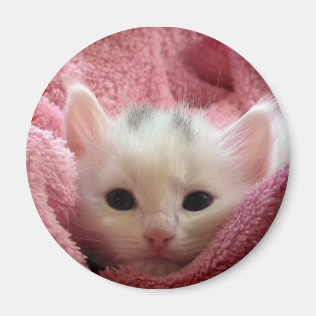Imán Gatito suave (Frente)
