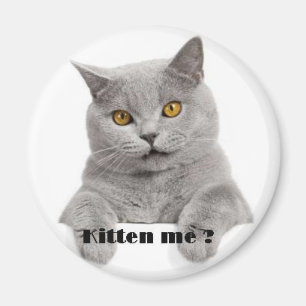 Imán ¿gatito yo?
