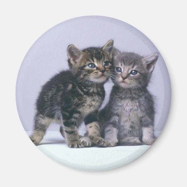 Imán gatitos (Frente)