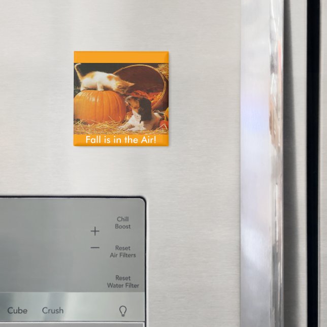 Imán Gatitos, calabazas y cachorros (In situ (nevera))