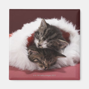 Imán Gatitos dormidos junto en gorra del navidad