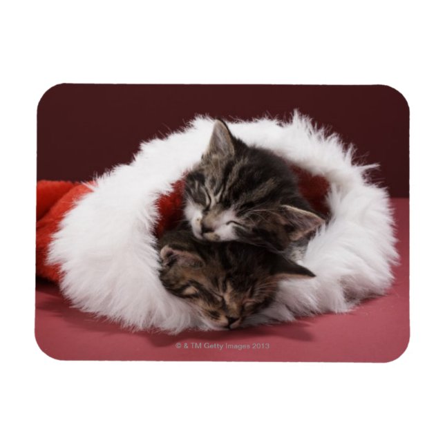 Imán Gatitos durmiendo juntos en Navidades gorra (Horizontal)