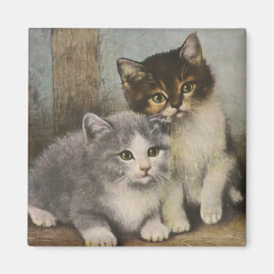 Imán Gatitos lindos