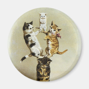 Imán Gatitos lindos que juegan, humor de los gatos del