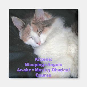 Imán Gatitos: Sleeping=AngelsAwake=Moving Obstical Co
