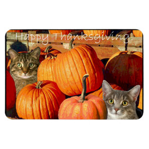 Imán Gatitos y calabazas de Acción de Gracias