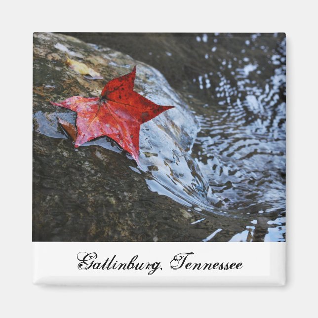 Imán Gatlinburg Leaf Magnet (Frente)