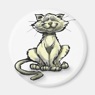 Imán Gato
