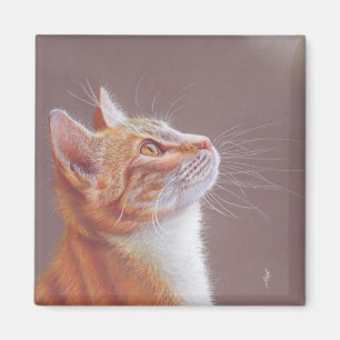 Imán Gato