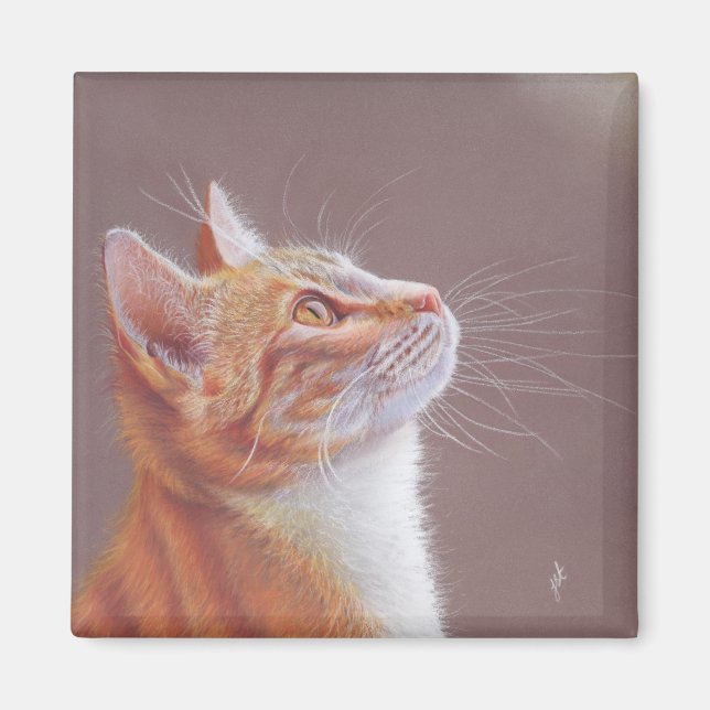 Imán Gato  (Frente)