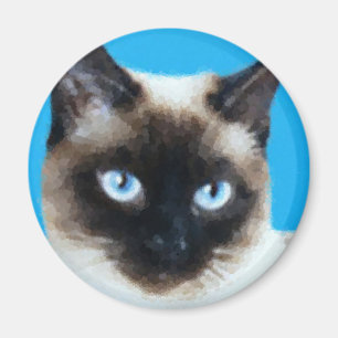 Imán Gato 1