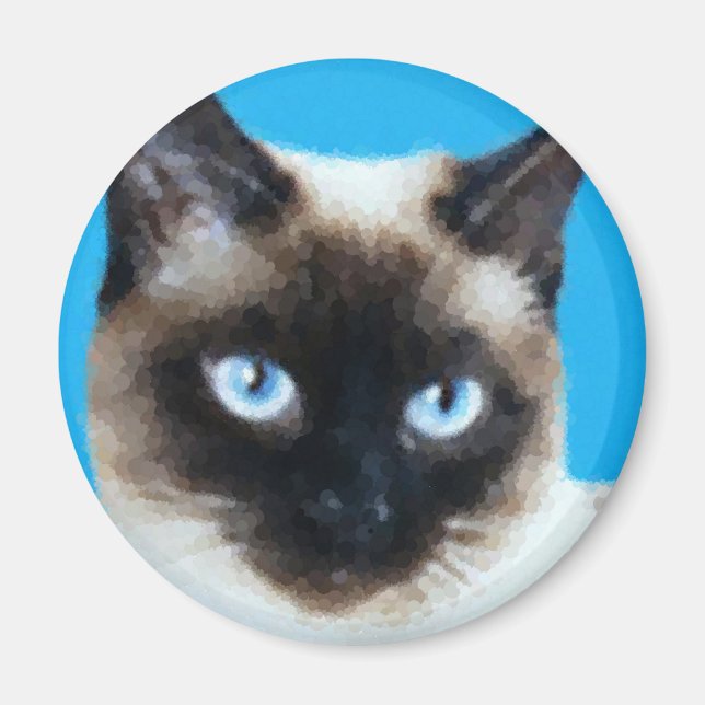 Imán Gato 1 (Frente)