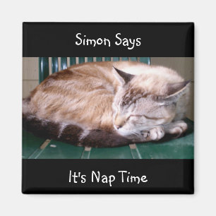 Imán Gato 7, es el momento de la siesta, dice Simon, Ma
