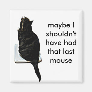 Imán Gato a escalas