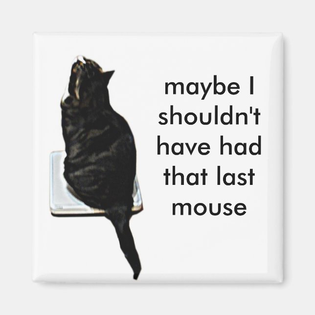 Imán Gato a escalas (Frente)