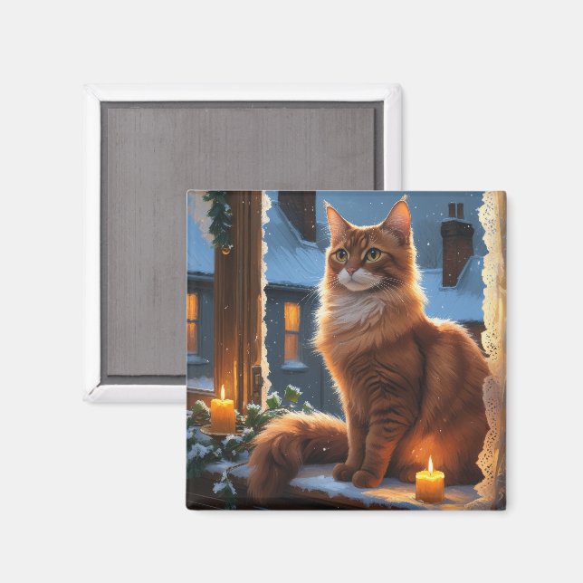 Imán Gato Abisinio con Luces de Navidad Fiesta (Anverso/Reverso)