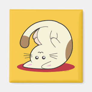 Imán Gato al revés