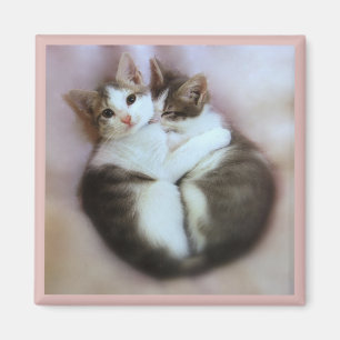 Imán Gato Amantes Magnet