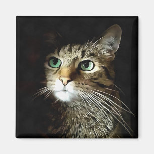 Imán Gato atigrado con ojos verdes aislado sobre fondo 