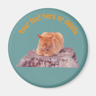 Imán Gato Atigrado Naranja Durmiendo Personalizado