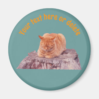 Imán Gato Atigrado Naranja Durmiendo Personalizado