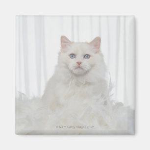Imán Gato blanco con las plumas