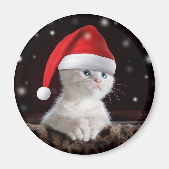 Imán Gato blanco en el Gorra de Santa Claus (Frente)