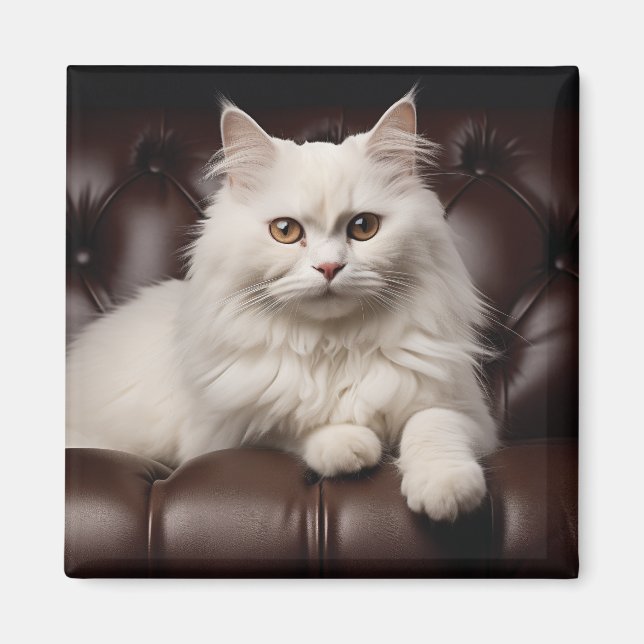 Imán Gato blanco majestuoso (Frente)