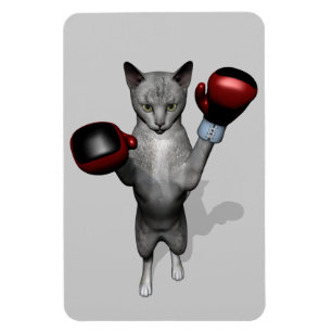 Imán Gato Boxer