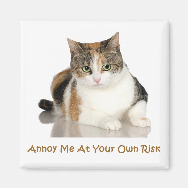 Imán Gato Calico: Annoy Me Anoy A Su Propio Riesgo (Frente)