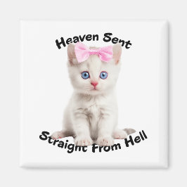 Imán Gato caprichoso