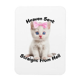 Imán Gato caprichoso