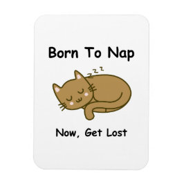 Imán Gato caprichoso