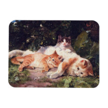 Gato con Bella Artes gatito