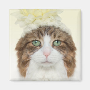 Imán Gato con el gorra de la flor