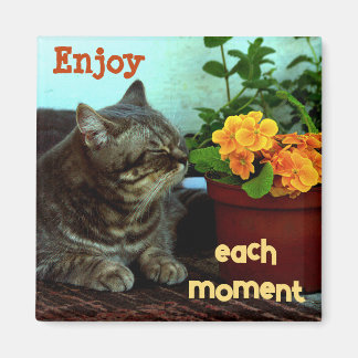 Imán Gato con flores/Disfruta cada momen