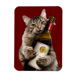 Imán Gato con frasco de vino
